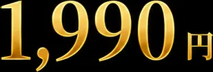 初回限定メダル1990円
