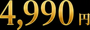 初回限定メダル4990円