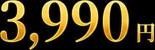 通常メダル3990円