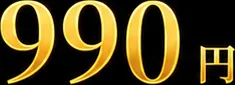 通常メダル990円